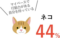 マイペースで行動力がある自分を持っているネコ