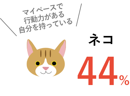 マイペースで行動力がある自分を持っているネコ